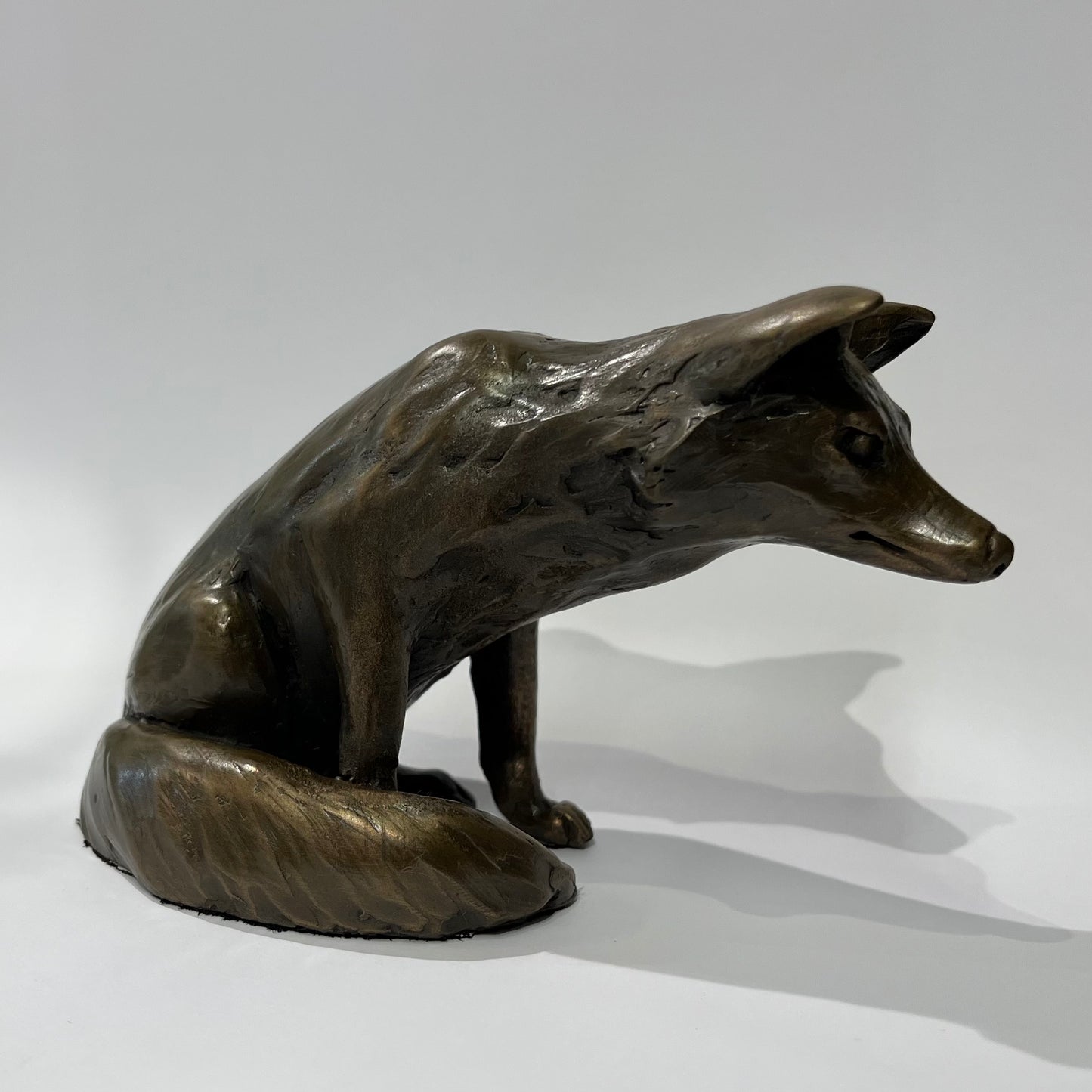 Joanna Martins, fox 2