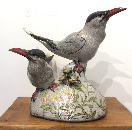 Pair of Common Terns