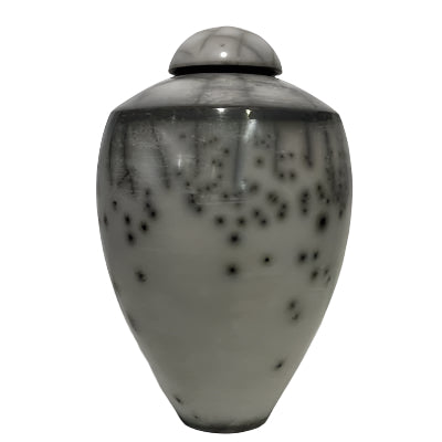 Dan Chapple, Raku Lidded Pot